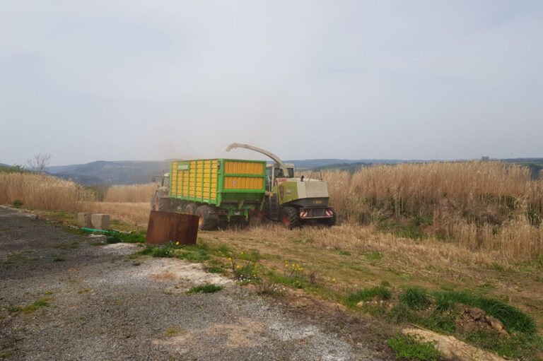 Tracteur récolte