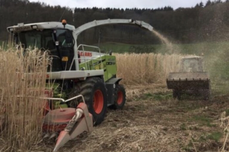 Travaux dans les champs