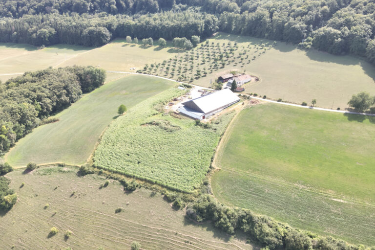 Vue du hangar du haut-1