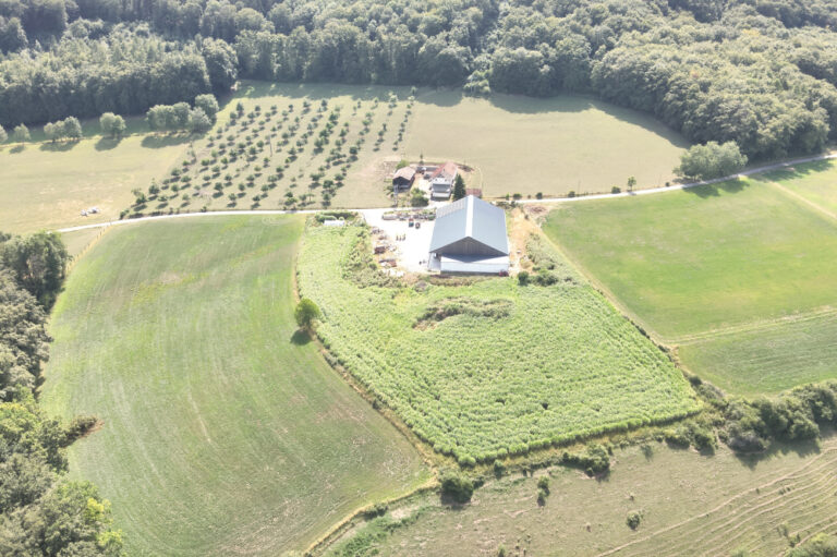 Vue du hangar du haut-2