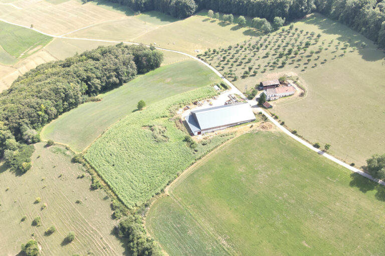 Vue du hangar du haut