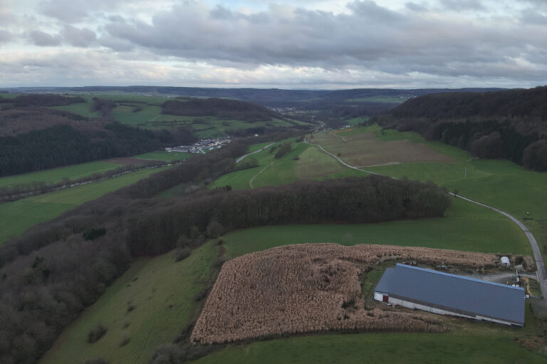 Vue plongée sur le hangar