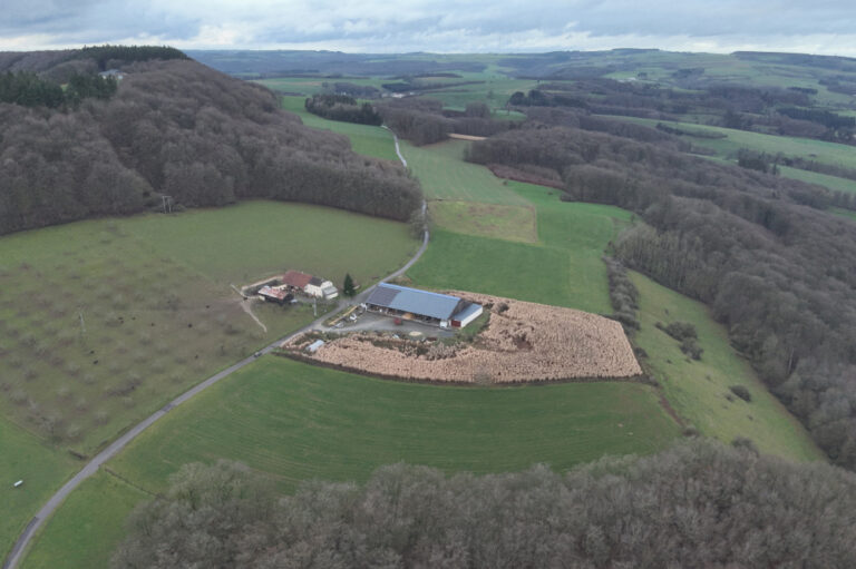 Vue plongée sur le hangar au loin