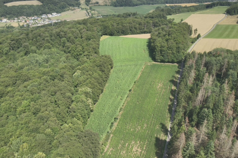 Vue plongée sur les champs au loin